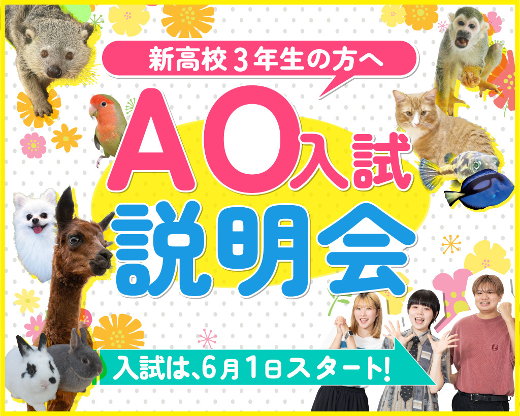 AO�����i�����^�I���j�܂�킩�������