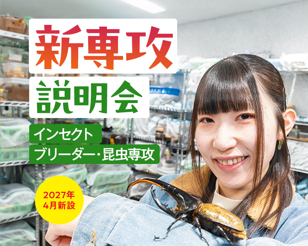 �V��U������y�C���Z�N�g�u���[�_�[�E������U�z