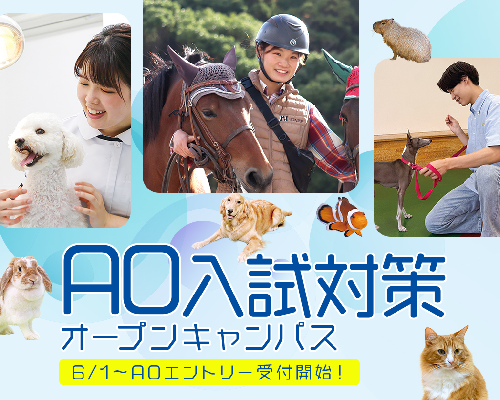 AO�����΍�I�[�v���L�����p�X