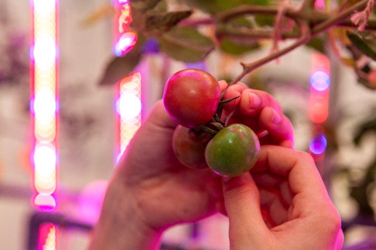 �y�͔|�n�z�̌�DAY�I