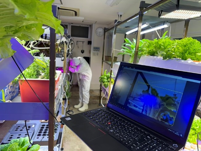 �yIT�n�z�̌�DAY�I