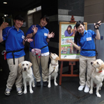 ������w�b�_