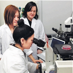 ������w�b�_