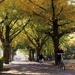 ������w�b�_