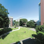 ������w�b�_