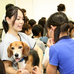 ������w�b�_