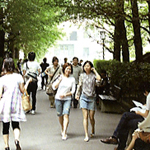 ������w�b�_