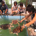 ������w�b�_