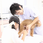 ������w�b�_