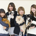 ������w�b�_