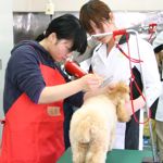 ������w�b�_