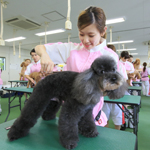 ������w�b�_