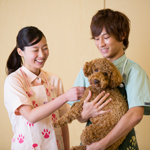 ������w�b�_