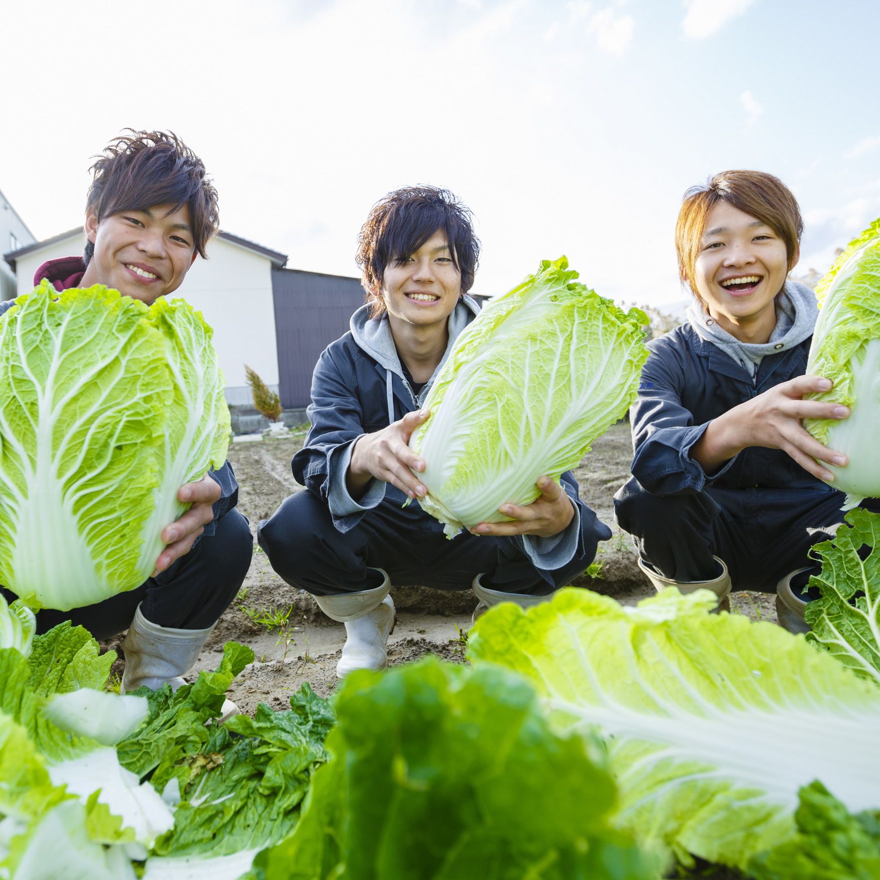 ������w�b�_