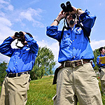 ������w�b�_