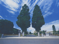 �ɐ��苻�z�����w�Z