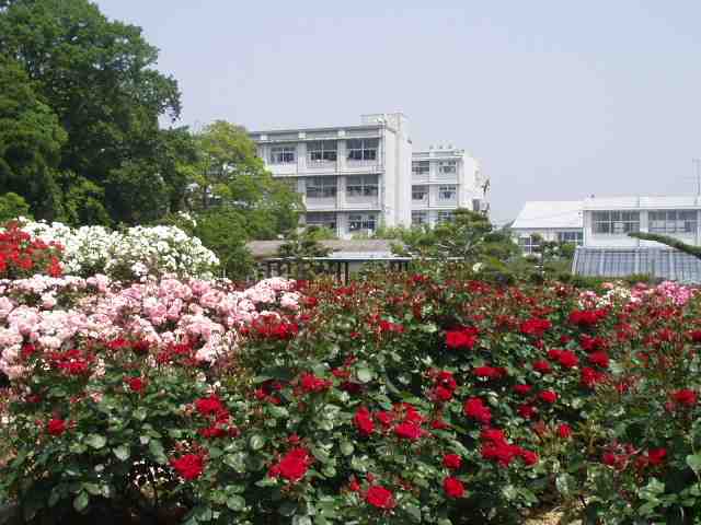 �֓c�_�ƍ����w�Z