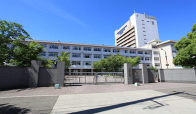 ���������w�Z