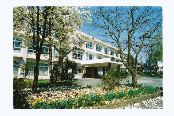 �V�������Ȕ������w�Z