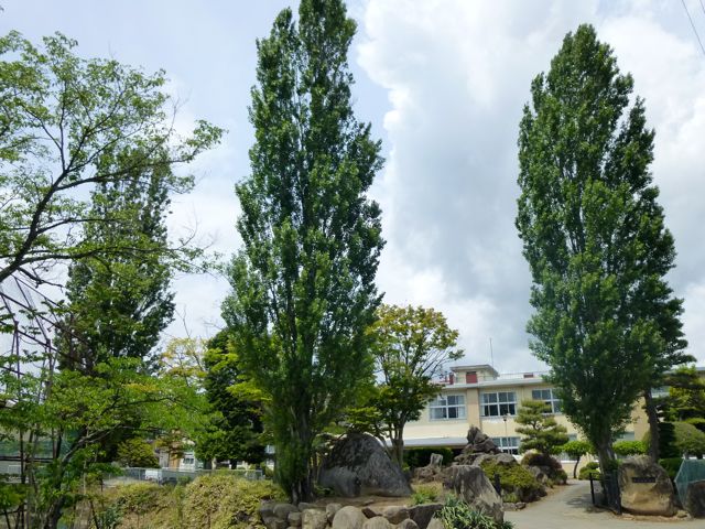 ���ȍ����w�Z