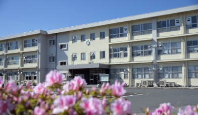 �����ʓ������w�Z