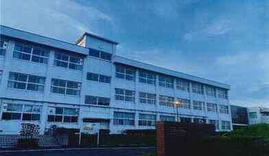 �Ǝ藳�������w�Z