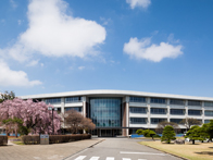 �����V�����w�Z